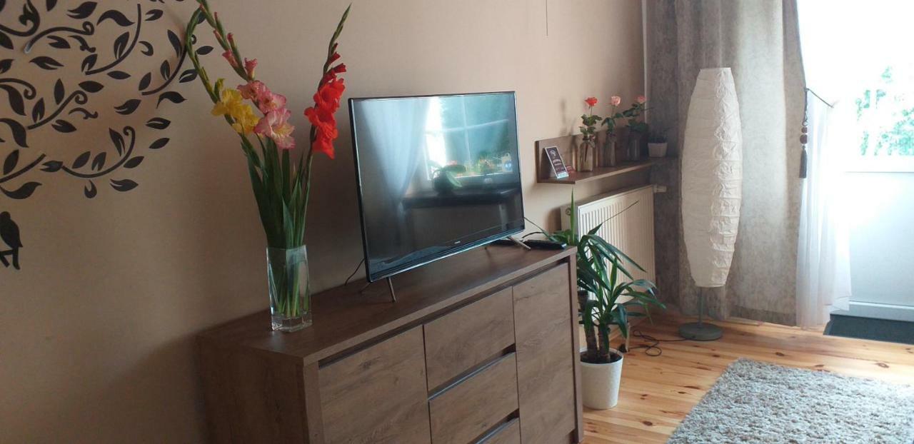 Apartamenty Przy Farze 카지미에르즈 돌니 외부 사진