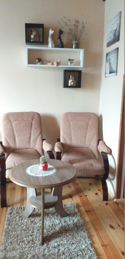 Apartamenty Przy Farze 카지미에르즈 돌니 외부 사진